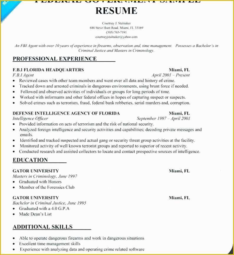 Free Federal Resume Template Of Gov Resume Template Free Resume Templates for Federal Jobs