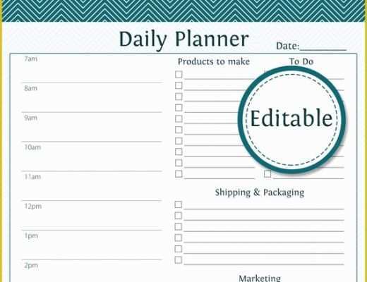 Free Fillable Business Plan Template Of Daily Business Planner Fillable Business Planner