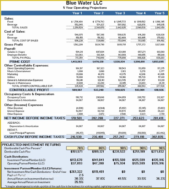 Free Financial Business Plan Template Of Business Plan Financials