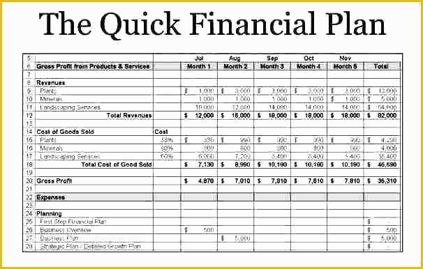 Free Financial Business Plan Template Of Financial Plan for Business – Autoskloo