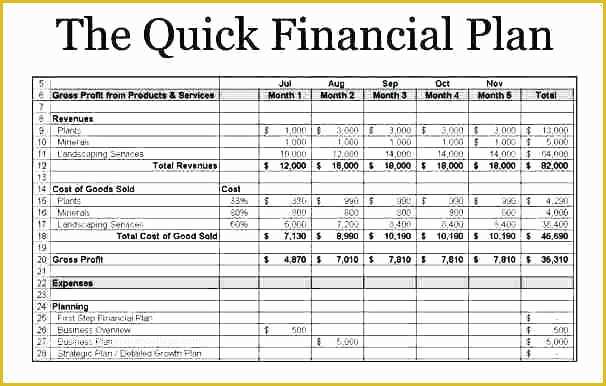 Free Financial Business Plan Template Of Financial Plan Template Picture
