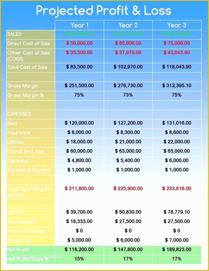 Free Financial Business Plan Template Of Sample Bar Financial Statement