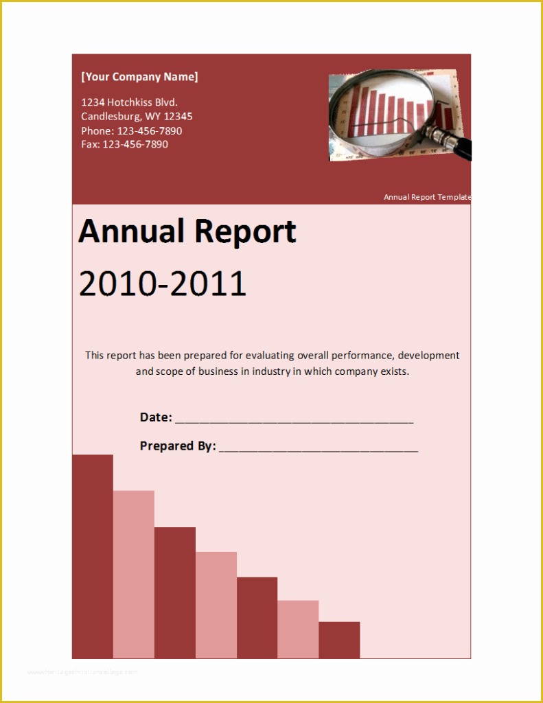 Free Financial Report Template Of Annual Report Template Free formats Excel Word
