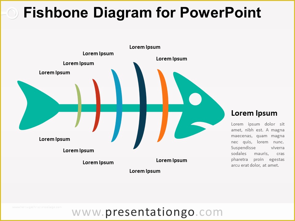Free Fishbone Diagram Template Powerpoint Of Fishbone Diagram for Powerpoint Presentationgo
