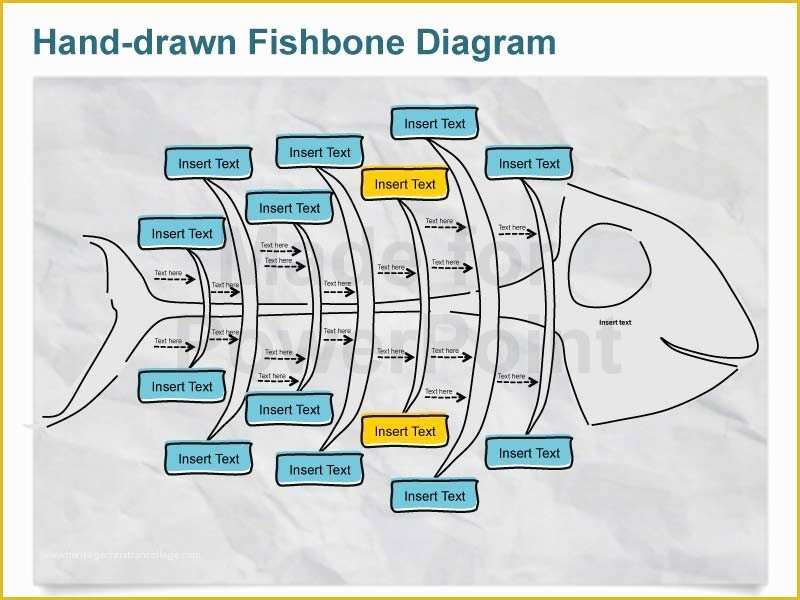 Free Fishbone Diagram Template Powerpoint Of Fishbone Diagrams Editable Powerpoint Bundle