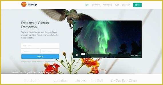 Free Flash Intro Templates Of Business Pany Website Template Free Flash Intro