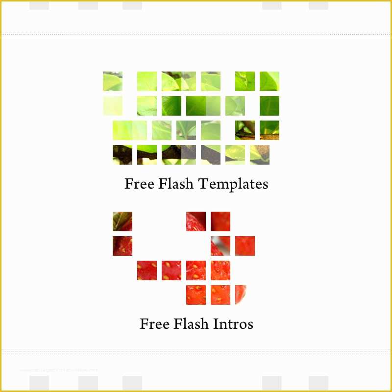 free-flash-intro-templates-of-adobe-flash-intro-templates-adobe-intros