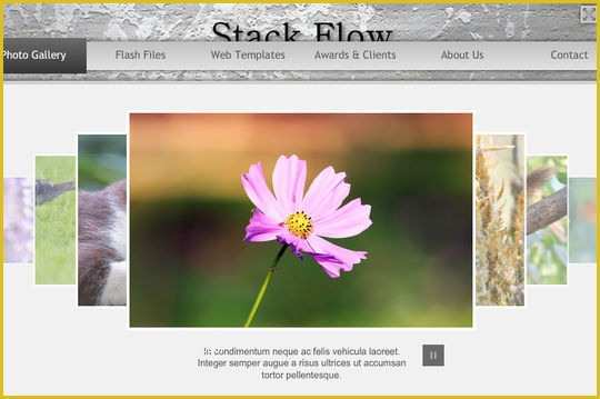 Free Flash Website Templates with source Files Of Collection Free Flash Website Templates with Fla source