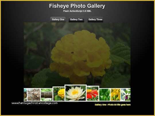 Free Flash Website Templates with source Files Of Collection Free Flash Website Templates with Fla source