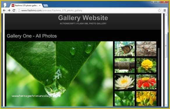 Free Flash Website Templates with source Files Of Download Free Flash Templates at Flashmo