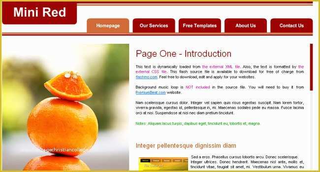 Free Flash Website Templates with source Files Of Download Free Free Flash Website Fla File software