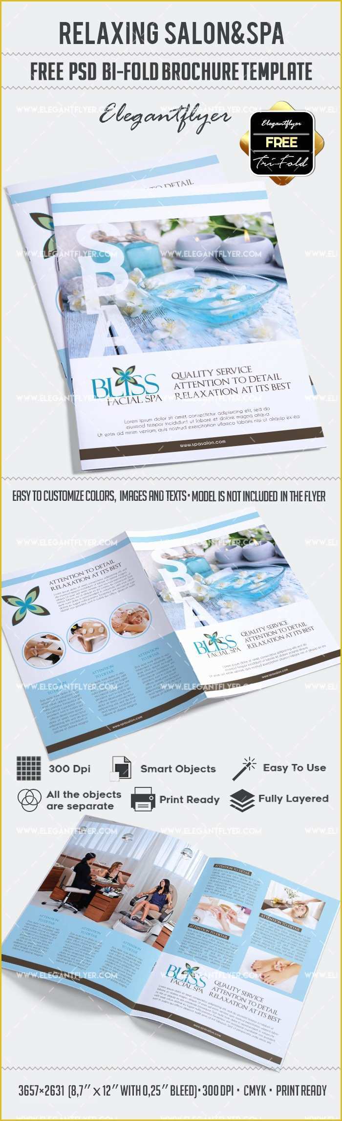 Free Flyer Brochure Templates Of Free Relaxing Salon for Bi Fold Psd Brochure – by Elegantflyer