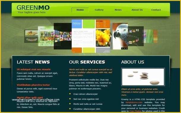 Free Full Website Templates Of Download Full Website Template Download Website Templates