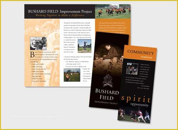 Free Fundraising Brochure Templates Of Fundraising Brochure Examples Entown Posters