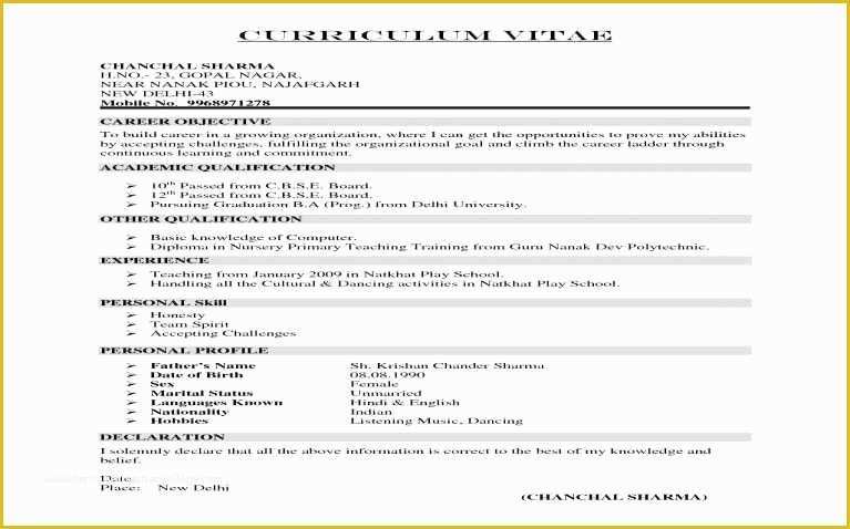 Free Google Docs Resume Templates Of Free Google Docs Resume Templates