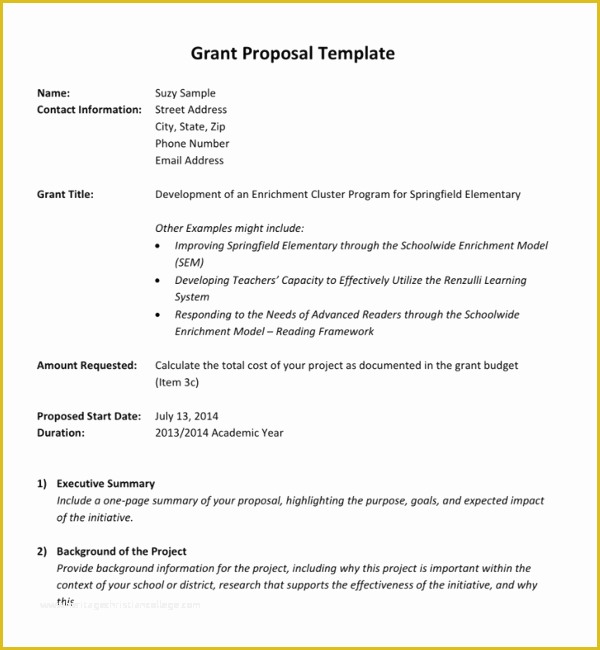 Free Grant Proposal Template Word Of 46 Free Grant Proposal Templates Word Pdf Samples formats