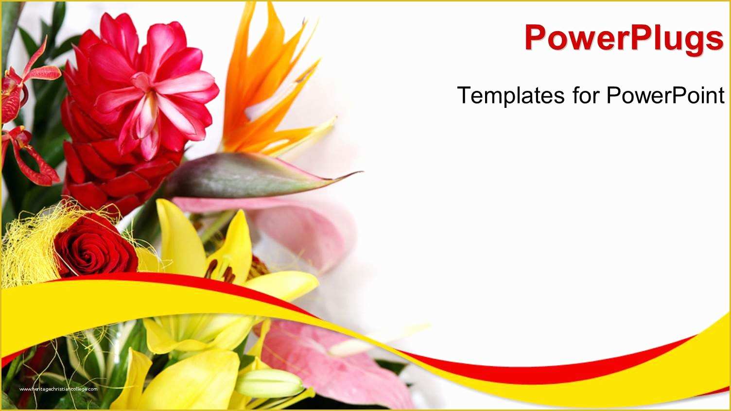 Free Greeting Card Templates Of Powerpoint Template A Close Up View Of Lots Of Flowers