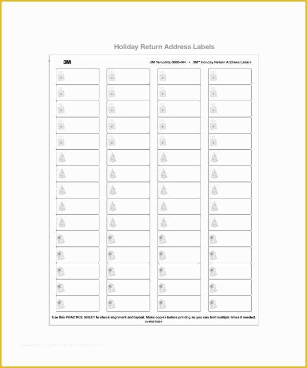 Free Holiday Return Address Label Template Of 8 Sample Address Label Templates