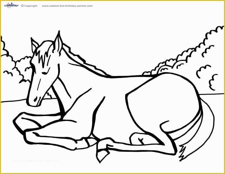 Free Horse Templates Of Coloring Pages Horses Printable