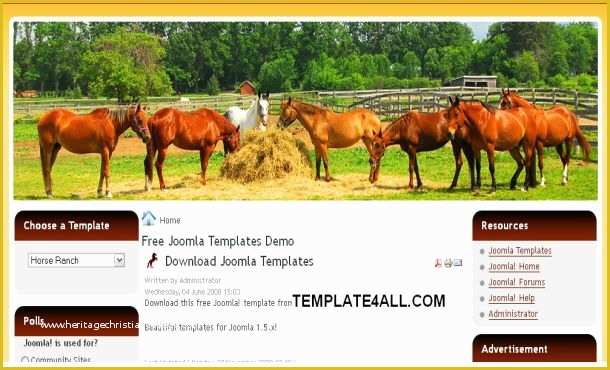 Free Horse Templates Of Free Horse Brown orange Joomla Template