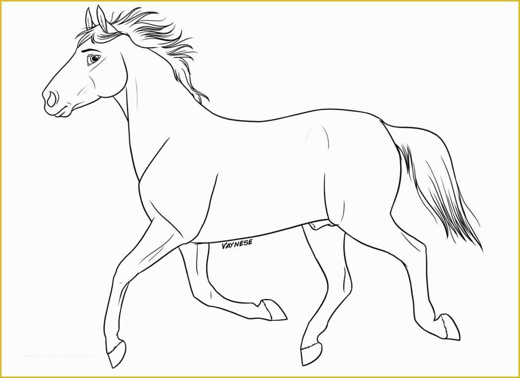 Free Horse Templates Of Free Horse Lineart by Vaynese On Deviantart
