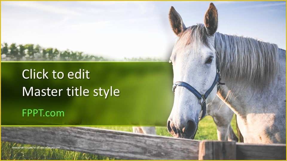 Free Horse Templates Of Free Horse Powerpoint Template Free Powerpoint Templates