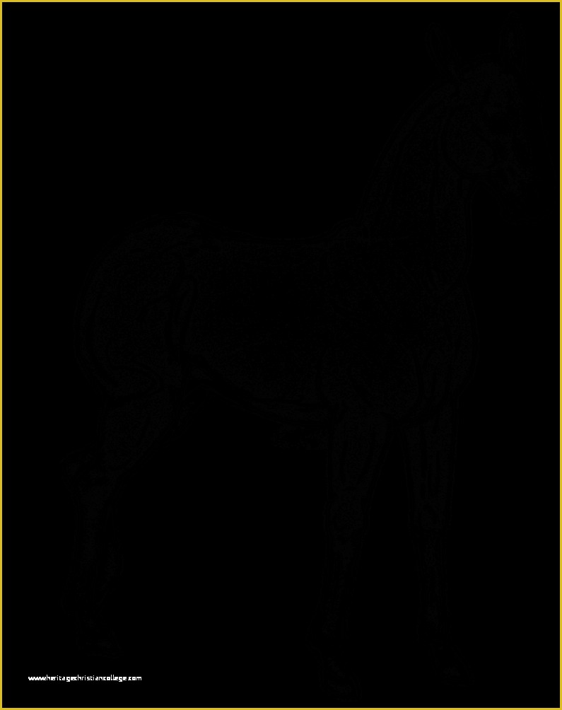 Free Horse Templates Of Free Use Horse Template by Brbarkham On Deviantart