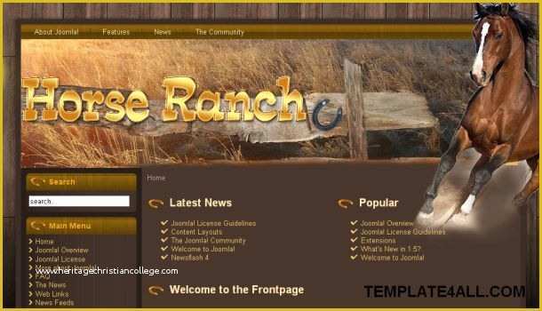 Free Horse Templates Of Free Website Templates Design Download Website Templates