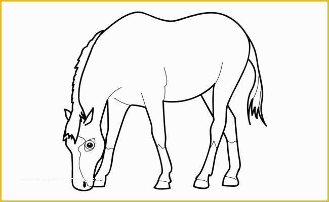 Free Horse Templates Of Horse Template Animal Templates