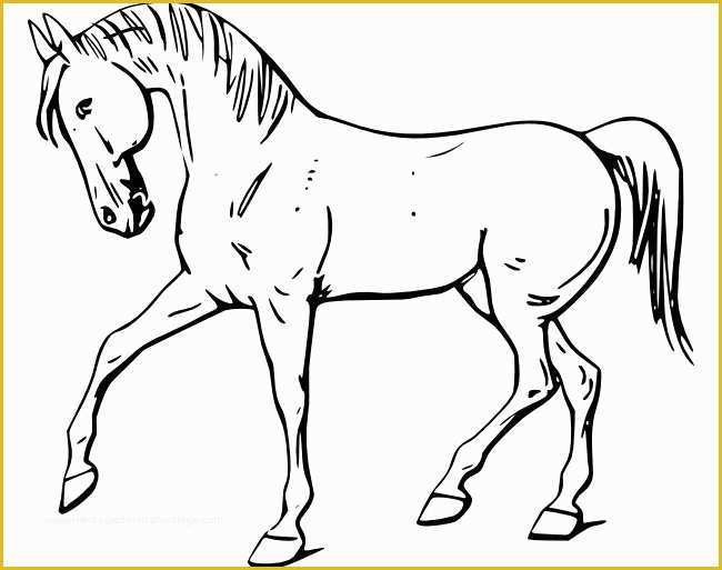 Free Horse Templates Of Horse Template Animal Templates