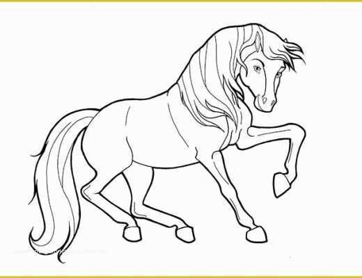 Free Horse Templates Of Horse Template Animal Templates