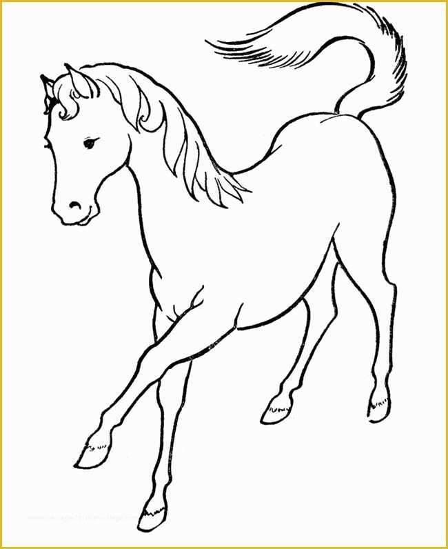 Free Horse Templates Of Horse Template Animal Templates