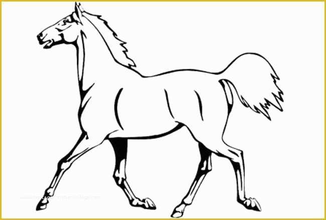 Free Horse Templates Of Horse Template Animal Templates