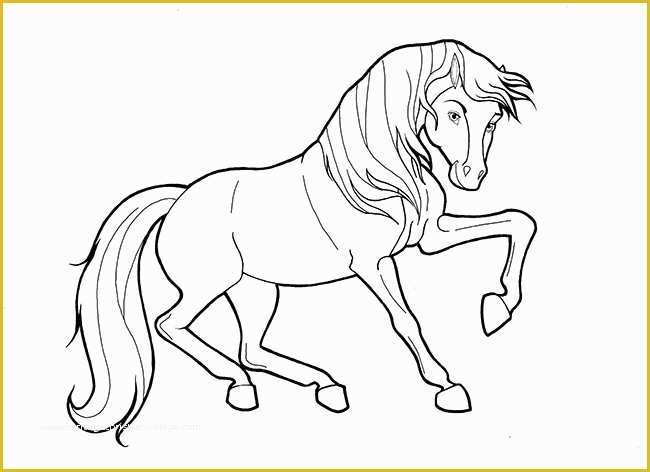 42 Free Horse Templates