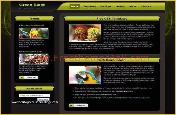 Free HTML Css Templates Of Free HTML Dark Black Green Css Website Template