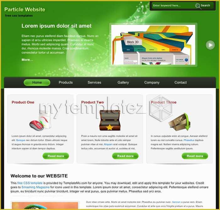 Free HTML Css Templates Of Free Templates Css Templates Business Particle