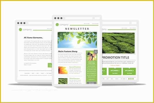 Free HTML Newsletter Templates Of 8 Free Newsletter Templates