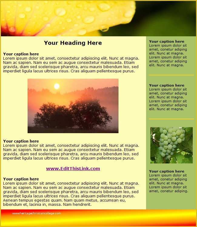 Free HTML Newsletter Templates Of Free HTML Newsletter Templates Heavensgraphix