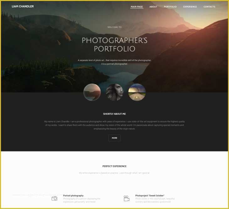 Free HTML Portfolio Templates Of 8 Best Grapher Website themes &amp; Templates