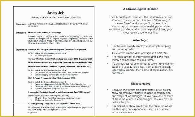 Free Hybrid Resume Template Word Of Barista Resume Template – Mazardfo