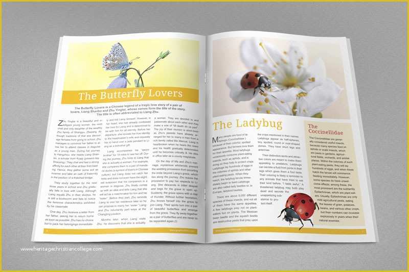 Free Indesign Newsletter Templates Of Indesign Newsletter Templates
