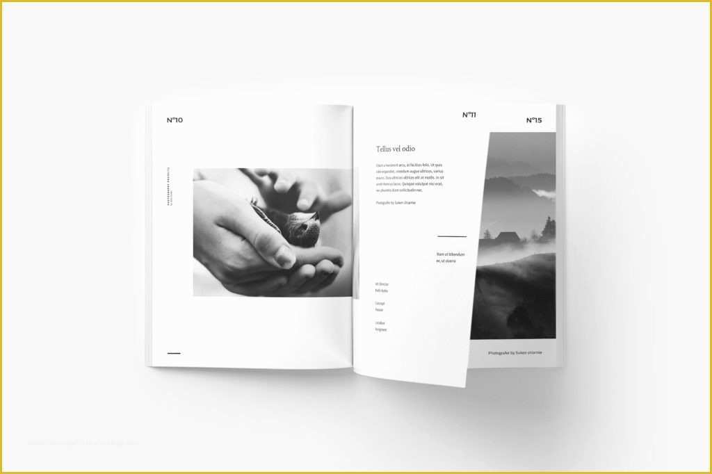 Free Indesign Portfolio Templates Of 65 Fresh Indesign Templates and where to Find More Redokun