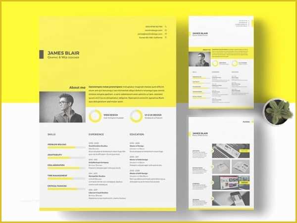 Free Indesign Resume Template Of Free Indesign Templates