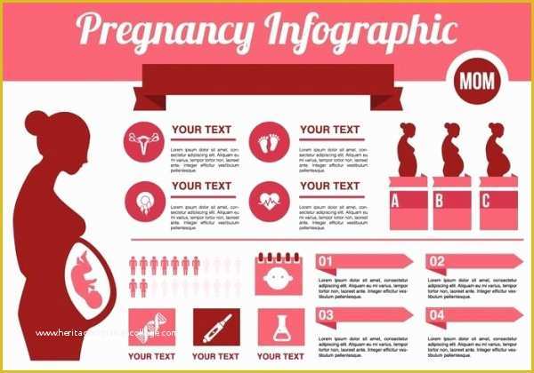 Free Infographic Templates for Students Of 20 Free Infographic Designs Psd Vector Download