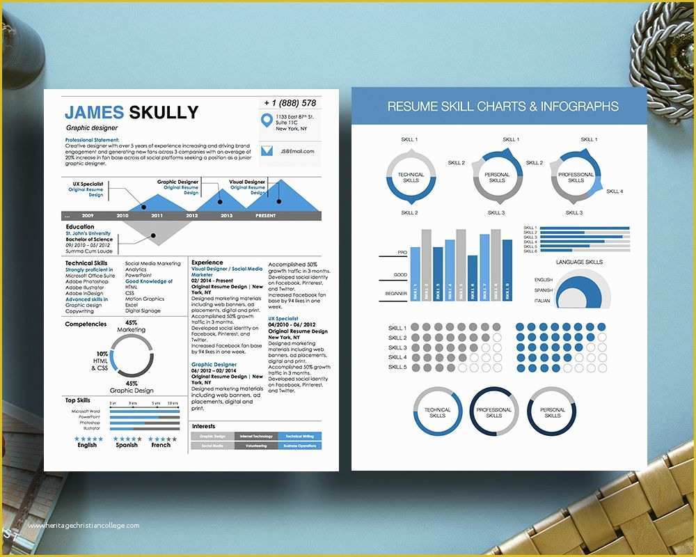 Free Infographic Templates for Word Of Infographic Resume Skills Chart Infographic