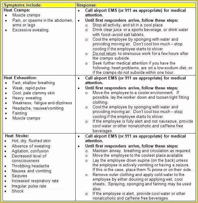 63 Free Injury and Illness Prevention Program Template