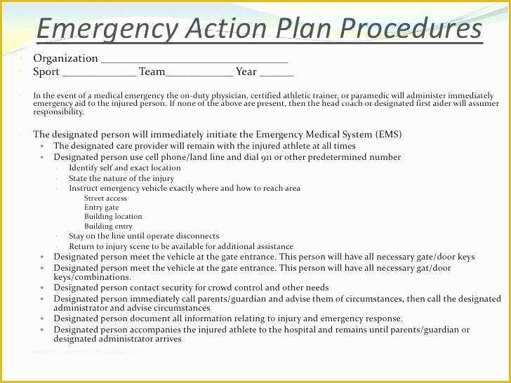 Free Injury and Illness Prevention Program Template Of Professional Project Plan Templates Excel Word Template