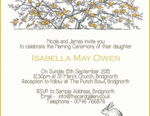 Free Invitation Templates for Naming Ceremony Of 7 Best Invitations Baby Naming Ceremony Images On Pinterest