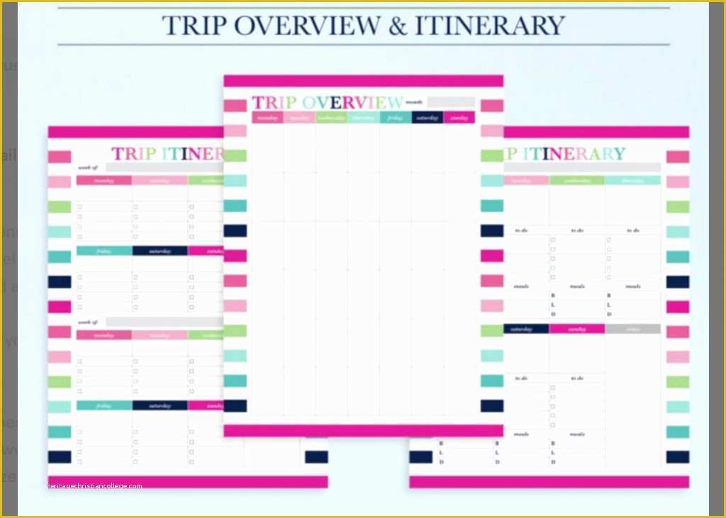 Free Itinerary Template Of 10 Itinerary Template Examples