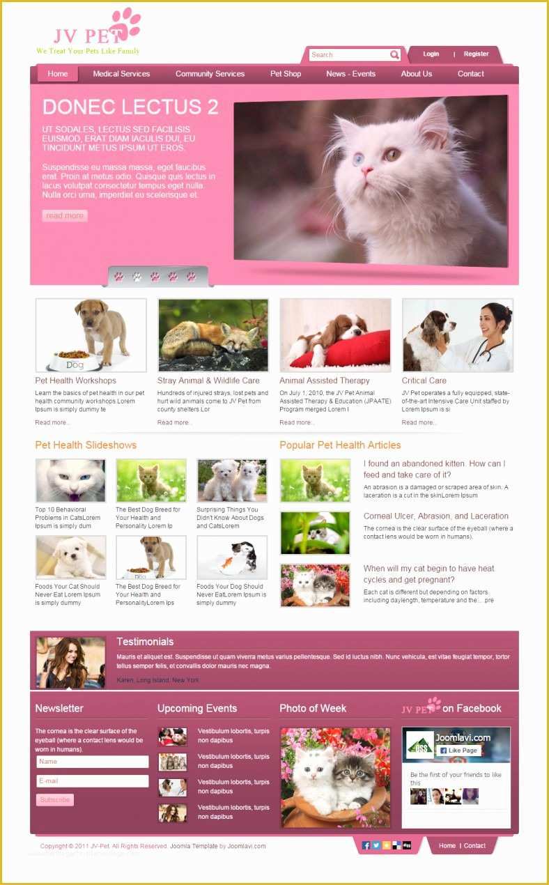 Free Joomla 3.0 Templates Of 9 Beautiful Animal Shelter Joomla Templates